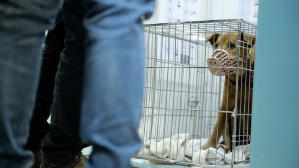 毛家電影劇照15