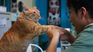 如果主子會説話電影劇照21