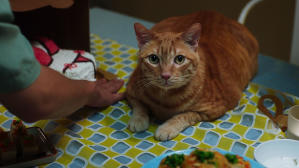 如果主子會説話電影劇照33