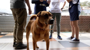 毛家電影劇照16