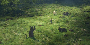 貓貓的奇幻漂流電影劇照49