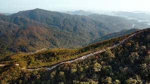 香港四徑大步走電影劇照21