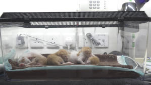 告訴世界我來過電影劇照2