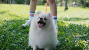 如果主子會説話電影劇照12