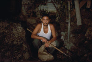 樂園幻景 (M+ Cinema Programmes)電影劇照3