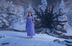 胡桃夾子電影劇照2