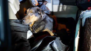 毛家電影劇照23