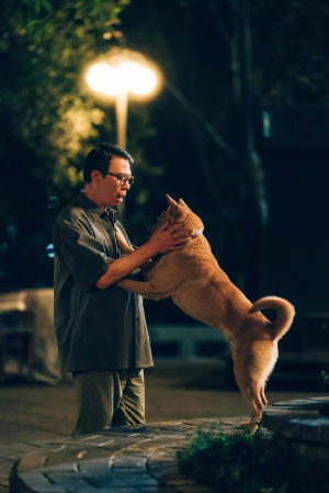 忠犬八公電影劇照4