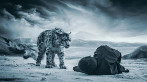 雪豹電影劇照10