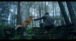 夜汪汪 心慌慌電影劇照3