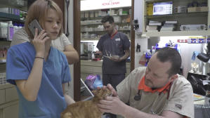 告訴世界我來過電影劇照3