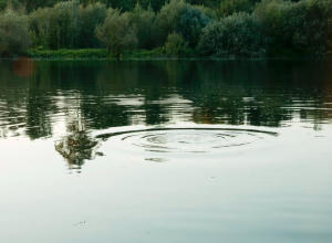 逐水飄流(EADF2025)電影劇照8