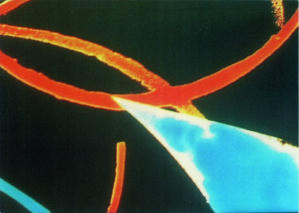 銀幕圖案 (M+ Cinema Programmes)電影劇照2