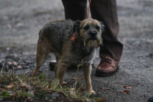 一個人的朝聖電影劇照72