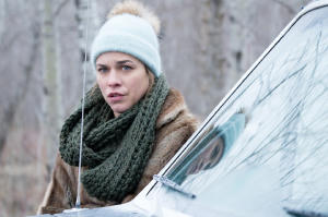 冰血殺機電影劇照2