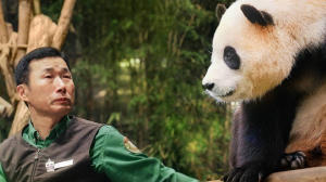 再．見熊貓福寶電影劇照6