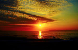 圖像策電影劇照10