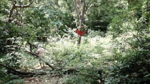 蛛巢之地(HKAFF 2020)電影劇照3