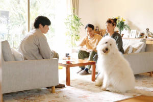 好狗不見了Haw電影劇照4