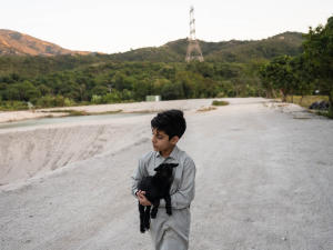  白日青春 (M+ Cinema Programmes)電影劇照2