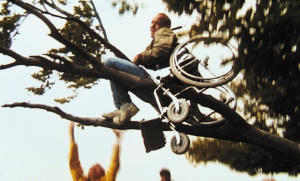 越笨越開心 (M+ Cinema Programme)電影劇照4