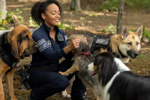 復仇戇狗聯盟電影劇照7