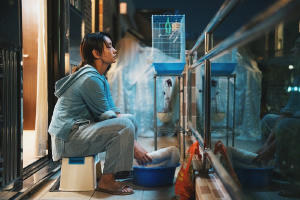 虎毒不電影劇照21