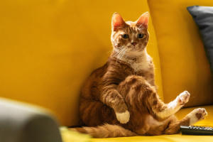 調教我的喪屍女兒電影劇照3