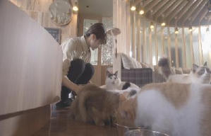 貓之Café電影劇照4