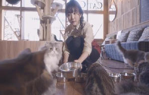 貓之Café電影劇照6