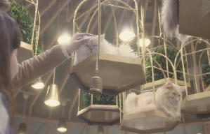 貓之Café電影劇照7