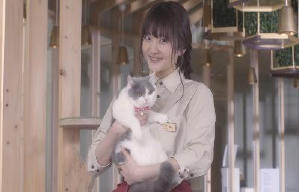 貓之Café電影劇照9