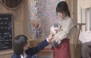 貓之Café電影劇照10