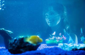 我的五步男朋友電影劇照12