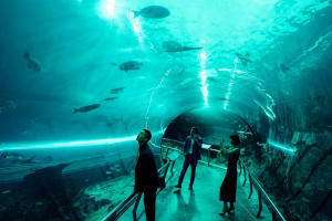 (真) 新的一天電影劇照9