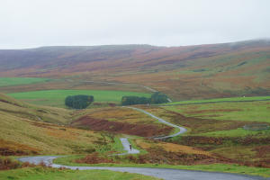 一個人的朝聖電影劇照101