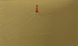 愛殺 (M+ Cinema Programmes)電影劇照4