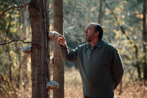 大叔夢中人電影劇照34