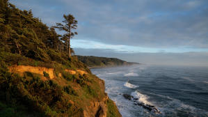 奪命監電影劇照15