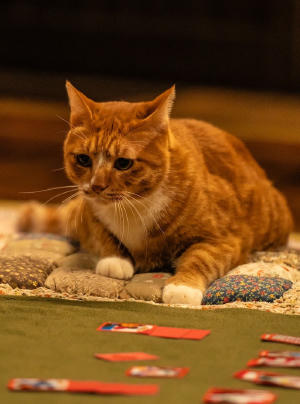 調教我的喪屍女兒電影劇照18