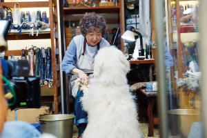 好狗不見了Haw電影劇照2