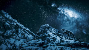 雪豹電影劇照11