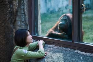  BIG 816電影劇照20