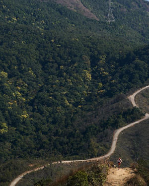 香港四徑大步走電影劇照20
