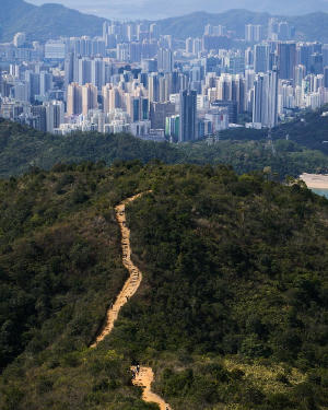 香港四徑大步走電影劇照14