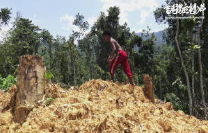 還有一些樹 - 香港獨立電影節2020電影劇照2