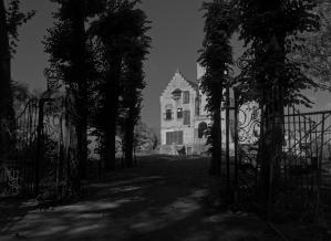 黨的大導演(EADF2025)電影劇照9