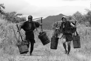 小菊的世界電影劇照3