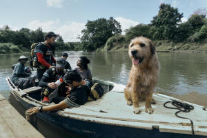 鐵人狗狗電影劇照4