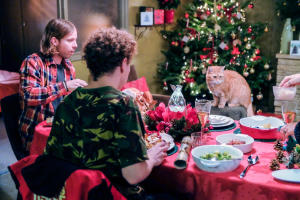 街角再遇Bob電影劇照6